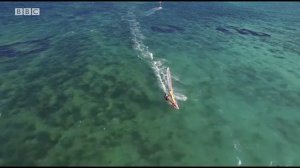 WW3_Unit 6_Culture_Part 1