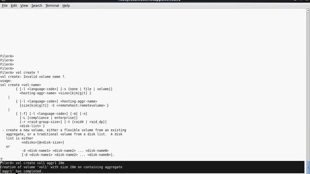 How to Create a Volume in Data OnTap CLI by Nicholas Lee Fagan смотреть онлайн