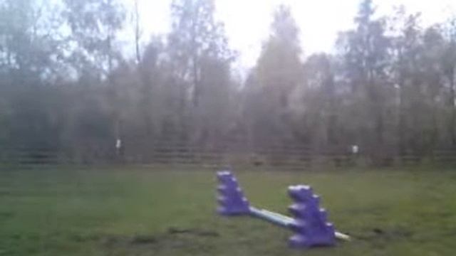 Messing About With Windows Movie Maker.- Bailey And VIctoria смотреть онлайн