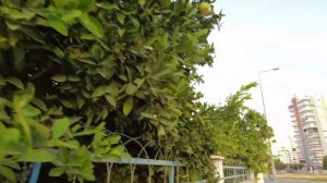 VLOG: Показываем район университета | Мерсин, Турция, Октябрь 2022