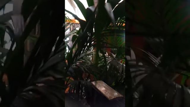 Кыргыз повар в Москве смотреть онлайн