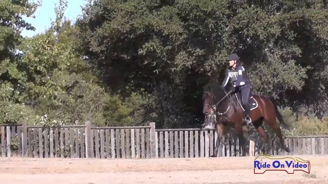 387XC Karen Horn on Bentley GT SR Beginner Novice Cross Country Woodside October 2016 смотреть онлайн