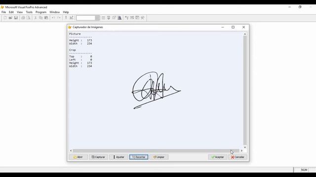 VISUAL FOXPRO - Capturer v1.0 (En venta) смотреть онлайн
