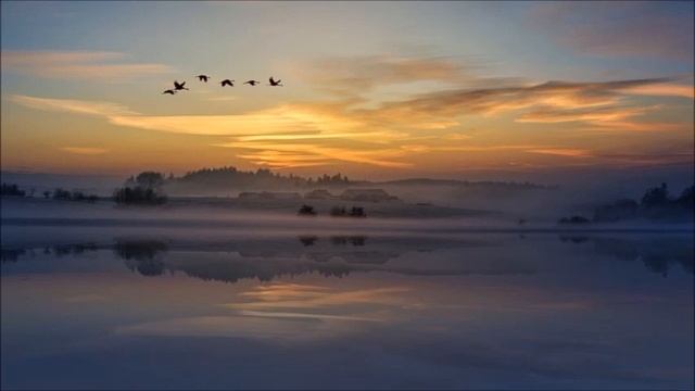 Watergate - Chi Mai  (Ayla Remix )  1999