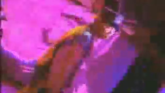 twista-mr tung twista смотреть онлайн