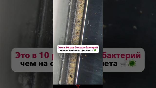 А вы знали об этом? #санпин #общепит #нарушения #аудит #хассп смотреть онлайн