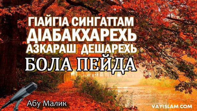 ГIайгIа, сингаттам дIабакхарехь азкараш дешарехь бола пейда ¦ Абу Малик Хьаза Хьехам смотреть онлайн