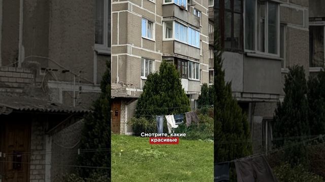 Особенности квартир в Калининграде смотреть онлайн