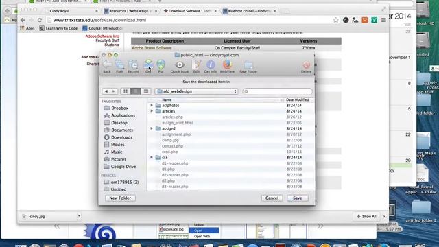 Publishing Files to the Web with FTP смотреть онлайн