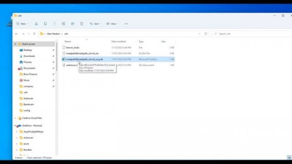 Authorize SSH Keys without setting Password