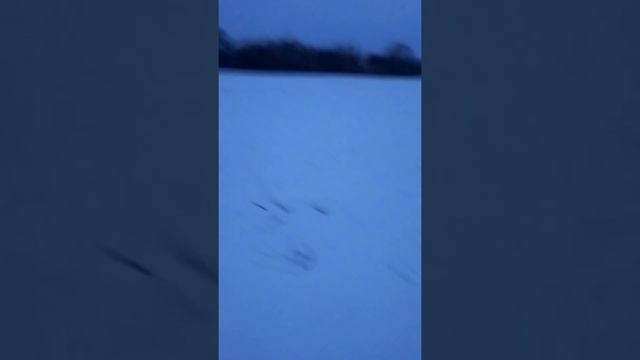 О ценах на лом черных и цветных металлов.14.03.22. смотреть онлайн