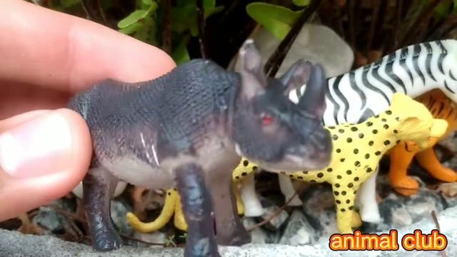 Plastic Animals Toys - zoo animals elephant zebra lion tiger jaguar rhino смотреть онлайн