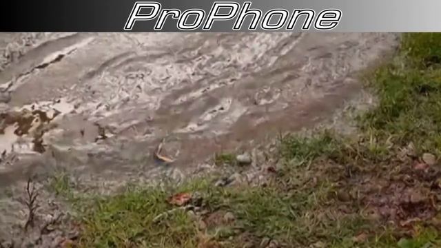 Téléphone haute puissance/ résistance ProPhone смотреть онлайн