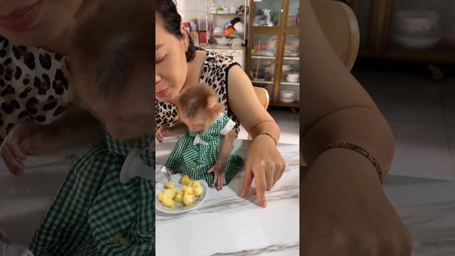 LINDA And Her Mother Eat Apples