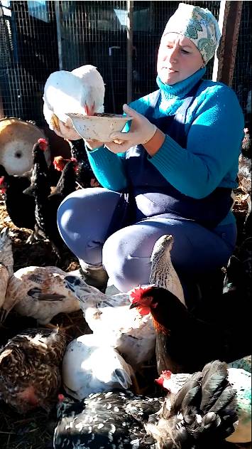 Как сделать кур РУЧНЫМИ. смотреть онлайн