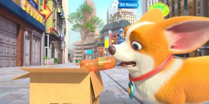 Корги по имени Моко. Простые истории, 55 серия. Везунчик Моко 