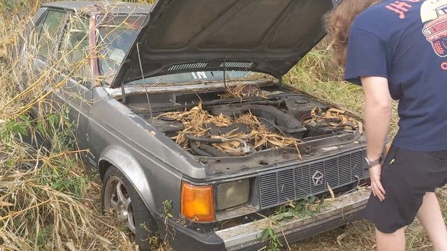 ROTTED: Digging out my RUSTED 1987 Plymouth Horizon смотреть онлайн