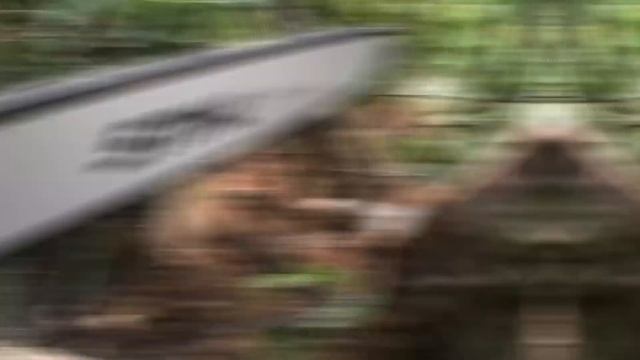 Видеообзор пилы STIHL MS 651 смотреть онлайн