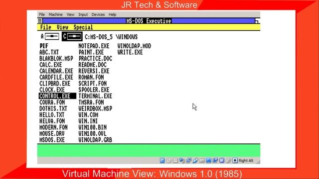 Deleting Core Windows Files (config.sys and autoexec.bat) in Windows 1.0 смотреть онлайн