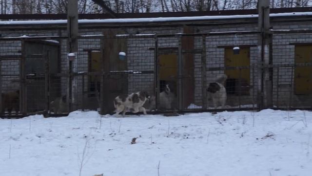 чери 2 смотреть онлайн