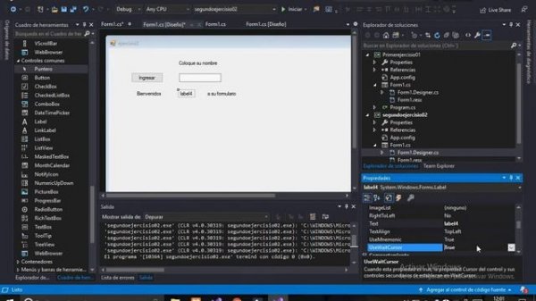 C# Windows Forms (NET.FRAMWORK) Visual 2019
