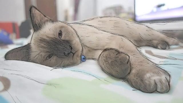 Cat Illustration using Procreate + Creative Stylus 2 смотреть онлайн