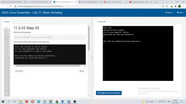 NDG: Linux Essentials: Lab 11 смотреть онлайн