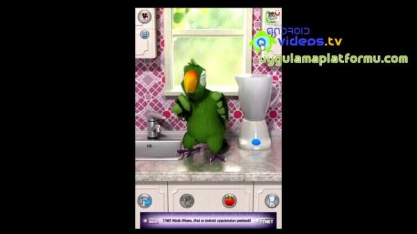 Android Talking Pierre the Parrot Free App Review