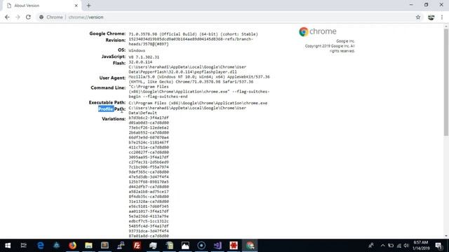 tube generator pro: how to import chrome profile path смотреть онлайн