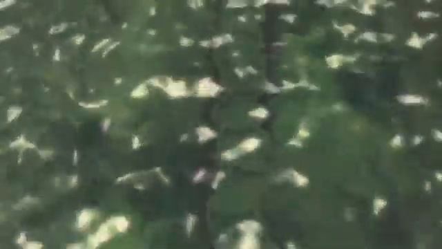 The Witcher41 смотреть онлайн