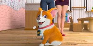 Корги по имени Моко. Простые истории, 47 серия. Примерка 