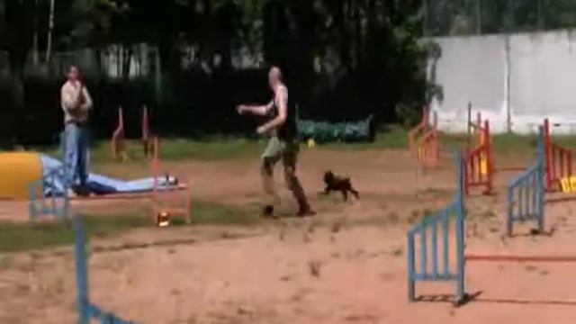 Фильм_0001.wmv смотреть онлайн