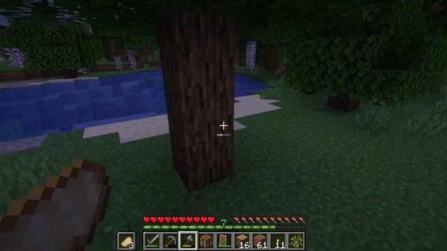 Minecraft 1 16 5 Multiplayer LAN смотреть онлайн