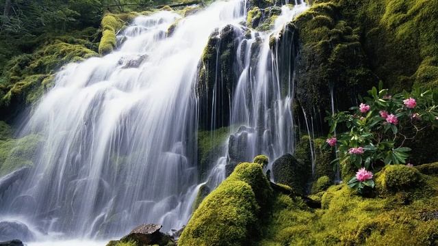 Windows 7 Landscape Sound Effects смотреть онлайн