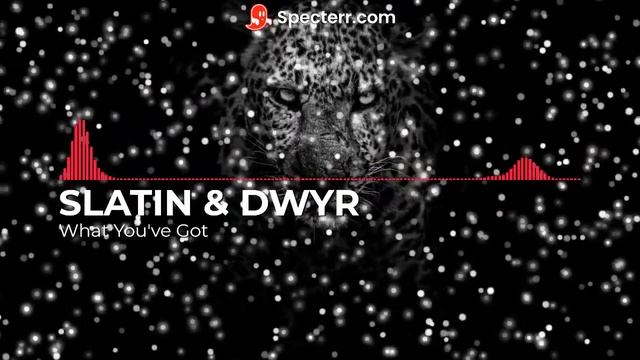 SLATIN & DWYR What You've Got смотреть онлайн
