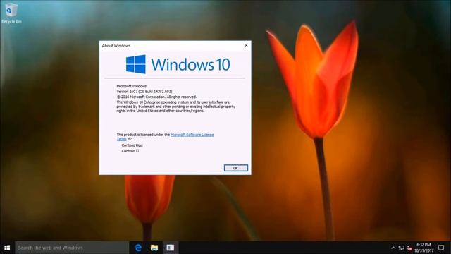 "Search the web and Windows" on Windows 10 build 14393 смотреть онлайн
