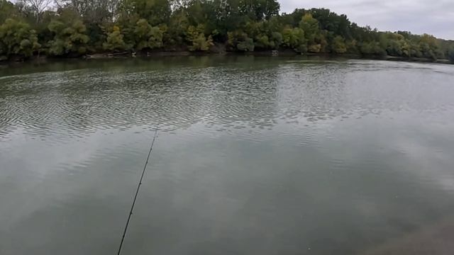 Рыбалка на Кубани станица Фёдоровская. Осторожно, работает рыбоохрана. 20.10.24 смотреть онлайн