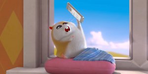 Корги по имени Моко. Домашние животные 2, 76 серия. Социальные сети