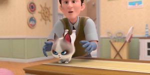 Корги по имени Моко. Домашние животные 2, 26 серия. Шанс