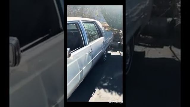 CADILLAC 1977 FLEETWOOD, WHITE смотреть онлайн