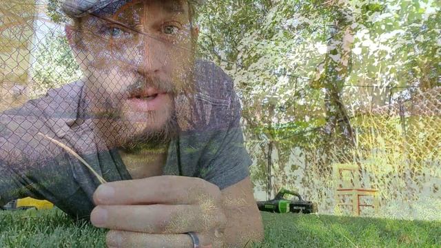 Do Leaf Blowers Pick Pine Needles Up Out of the Lawn? смотреть онлайн