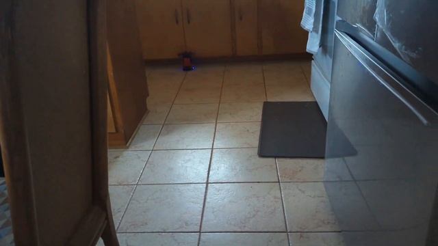 Race car we ordered from Temu смотреть онлайн