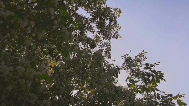 #омск смотреть онлайн