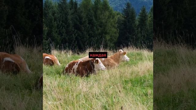 СКАЗКА ДЛЯ ДЕТЕЙ (сделана с chat gpt) смотреть онлайн