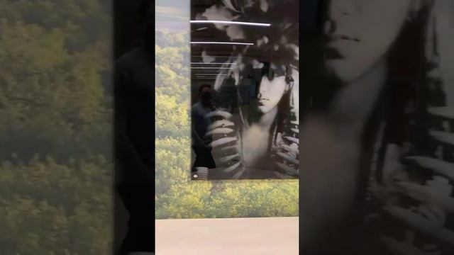 University of Mary - Apple Creek Gallery Wet Plate Installation of Northern Plain Native Americans смотреть онлайн