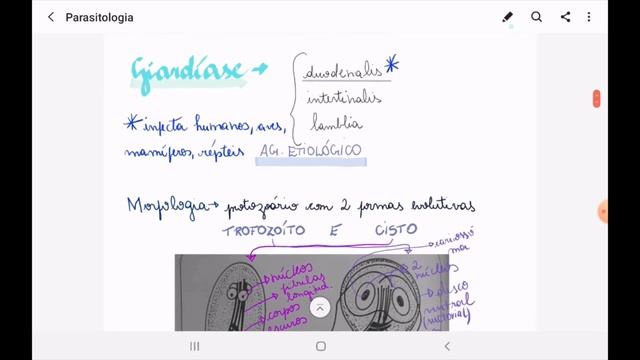 SAMSUNG NOTES MUDOU! PRIMEIRAS IMPRESSÕES NAS NOVIDADES | TABLET TAB A S PEN смотреть онлайн