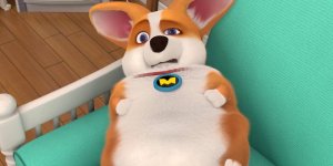 Корги по имени Моко. Простые истории, 7 серия. Любимая лапша 