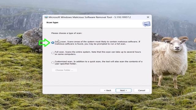 Microsoft Windows Malicious Software Removal Tool смотреть онлайн