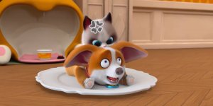 Корги по имени Моко. Домашние животные 2, 66 серия. Ничего не осталось