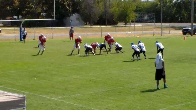 2015 Scrimmage. Morgan, Penelope, and Milford смотреть онлайн